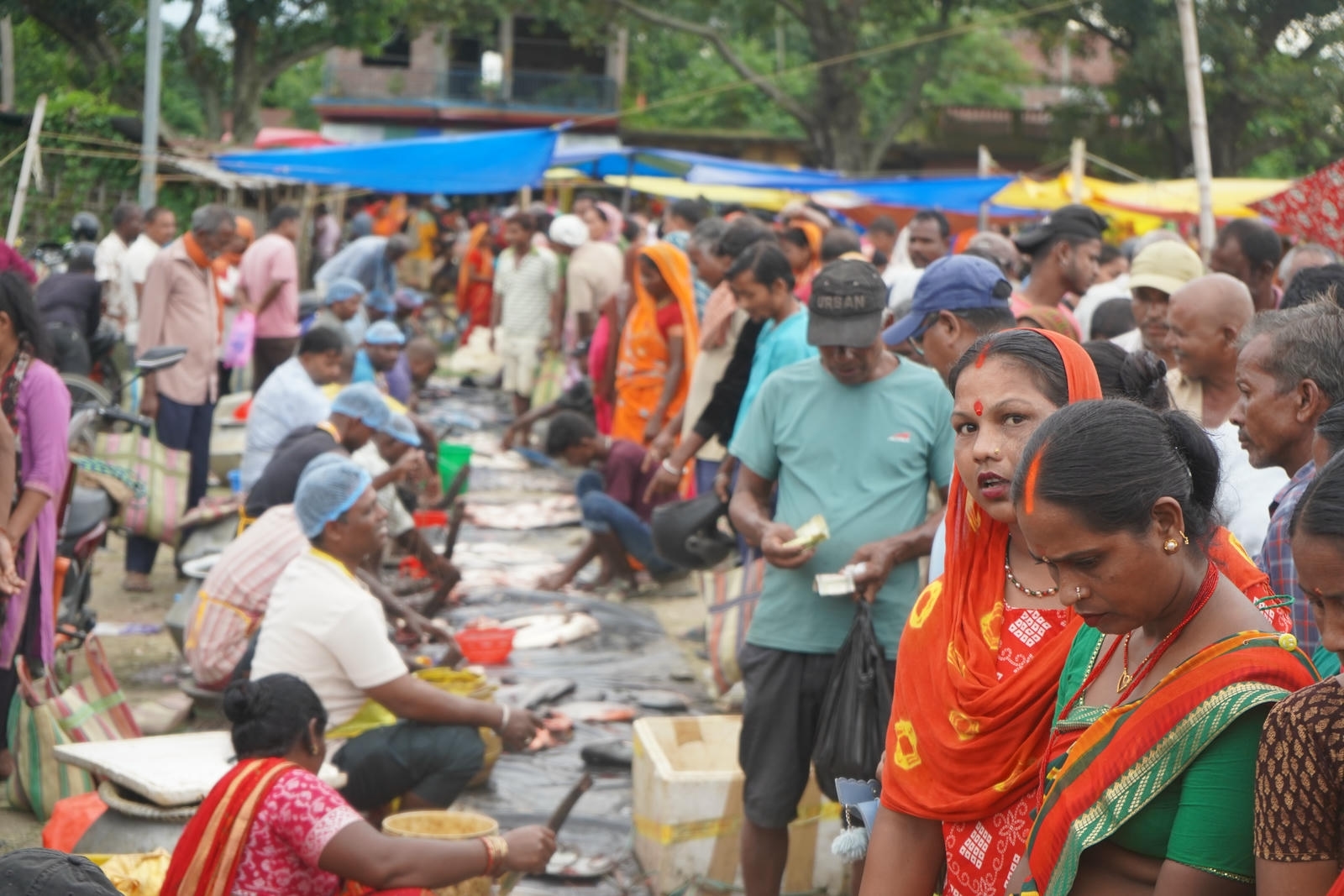 Fish Market Promotion, Aquaculture & Food Safety Showcase 107
