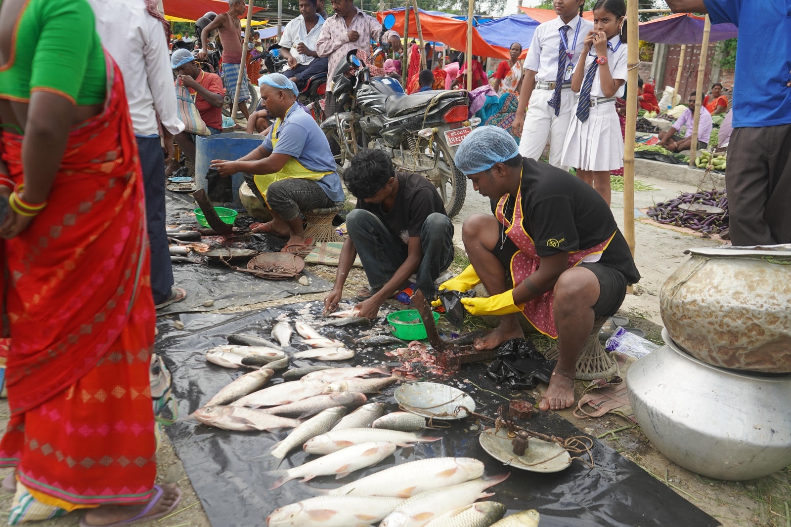 Fish Market Promotion, Aquaculture & Food Safety Showcase 64