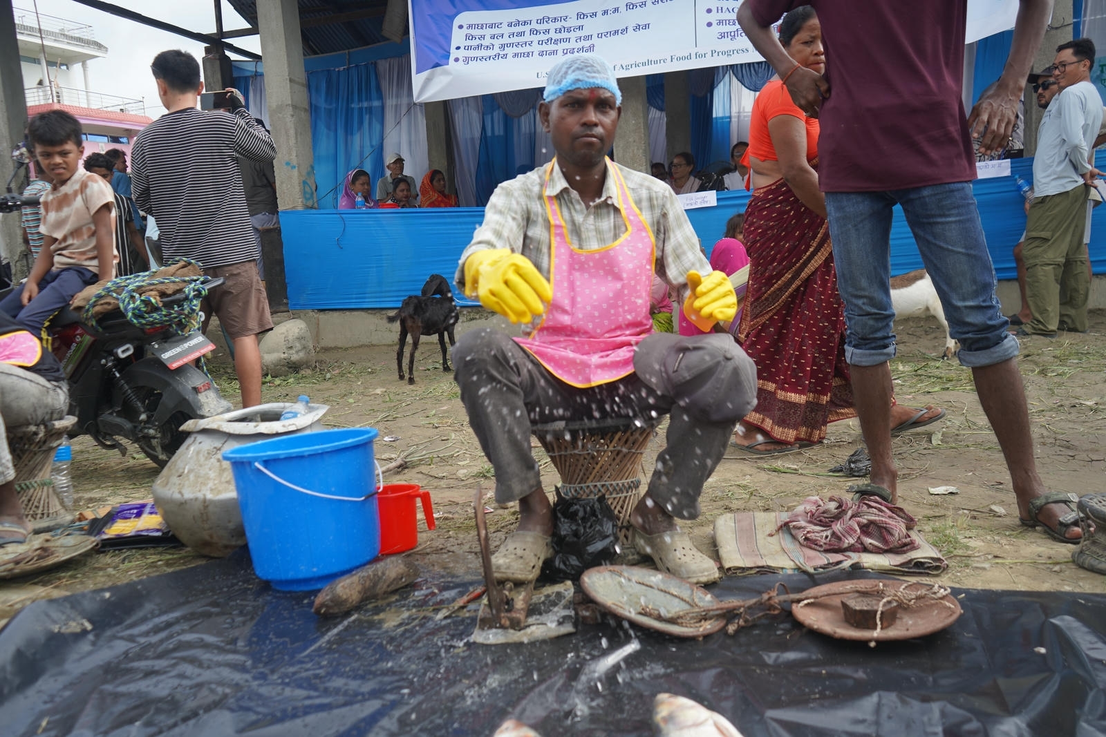 Fish Market Promotion, Aquaculture & Food Safety Showcase 53