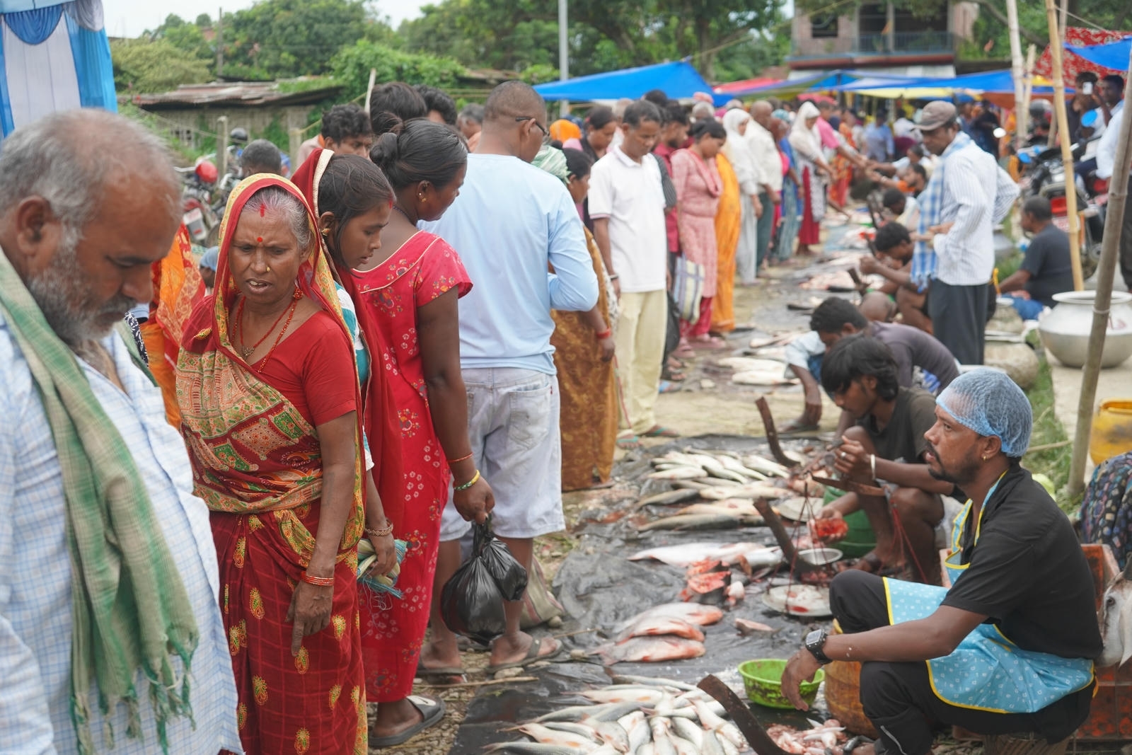 Fish Market Promotion, Aquaculture & Food Safety Showcase 110