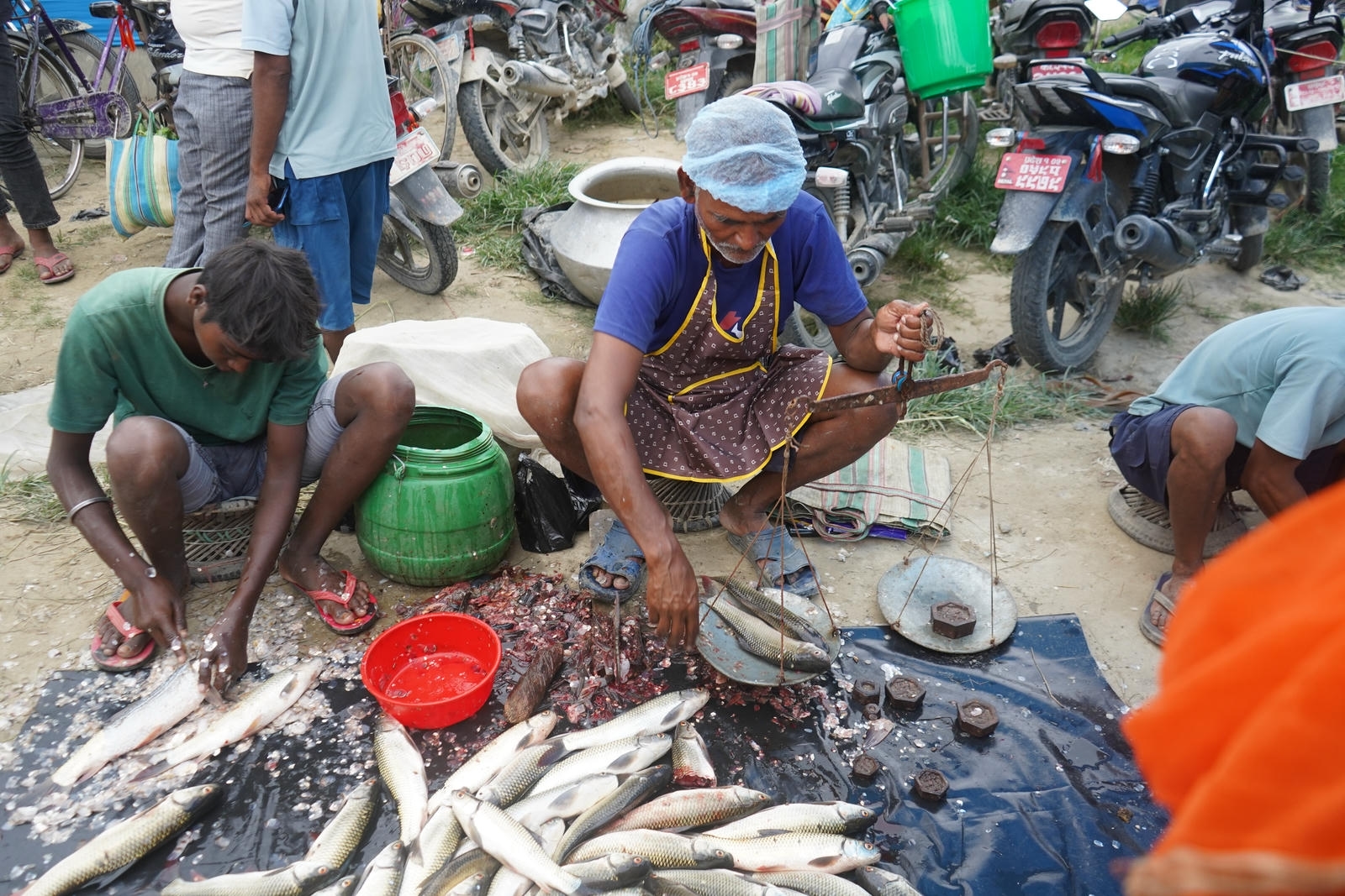 Fish Market Promotion, Aquaculture & Food Safety Showcase 116