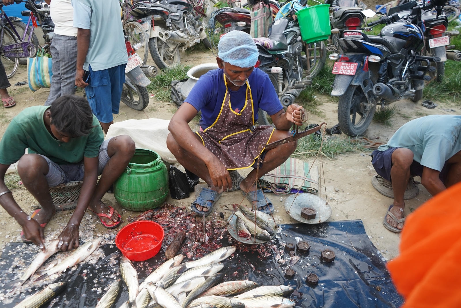 Fish Market Promotion, Aquaculture & Food Safety Showcase 117
