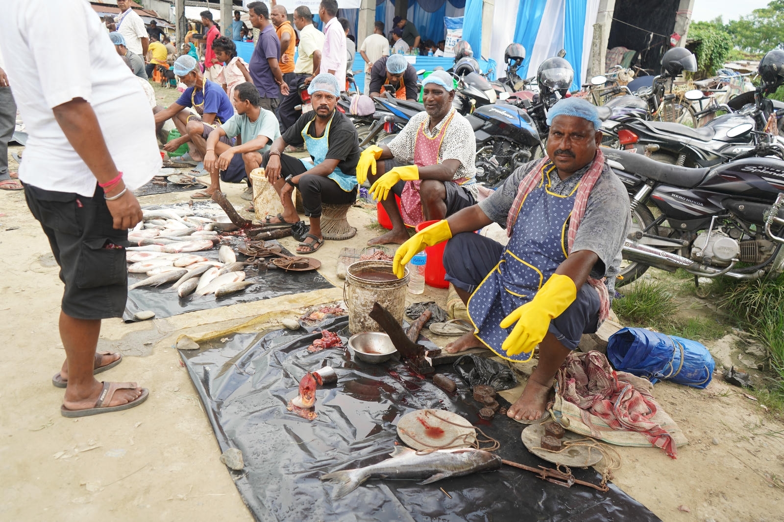 Fish Market Promotion, Aquaculture & Food Safety Showcase 62