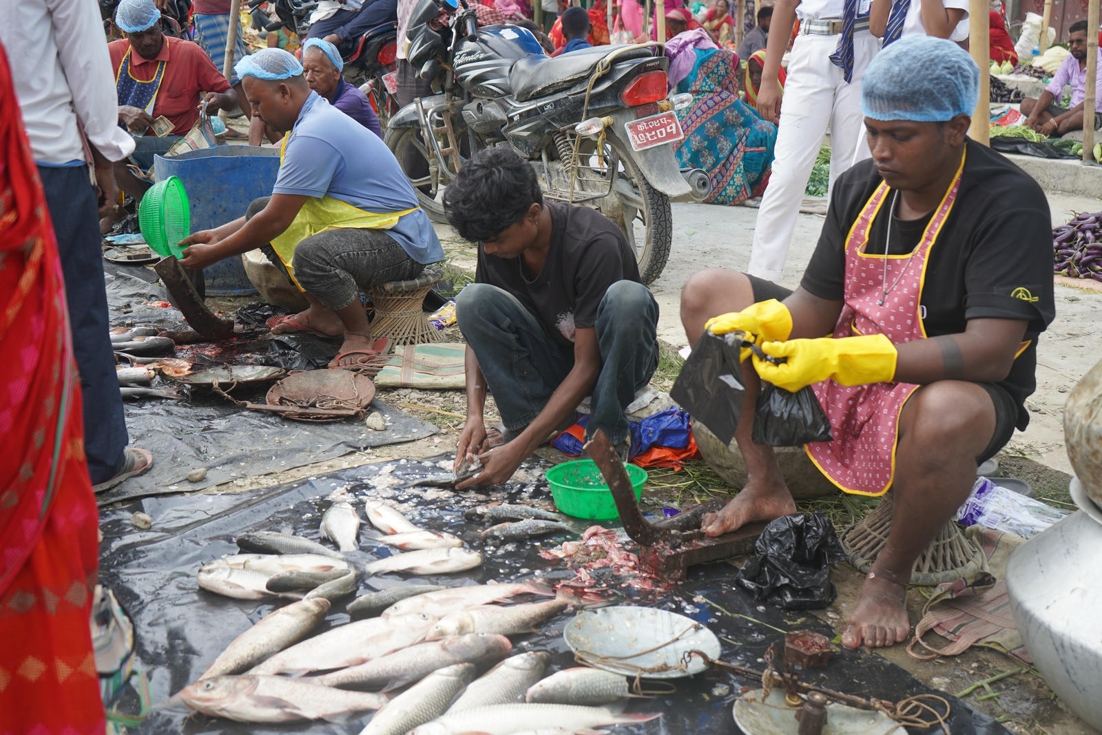 Fish Market Promotion, Aquaculture & Food Safety Showcase 66