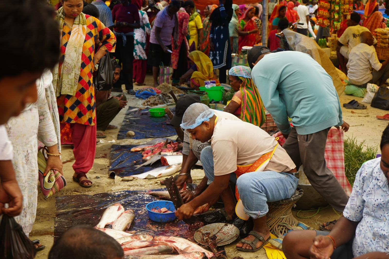 Fish Market Promotion, Aquaculture & Food Safety Showcase 112