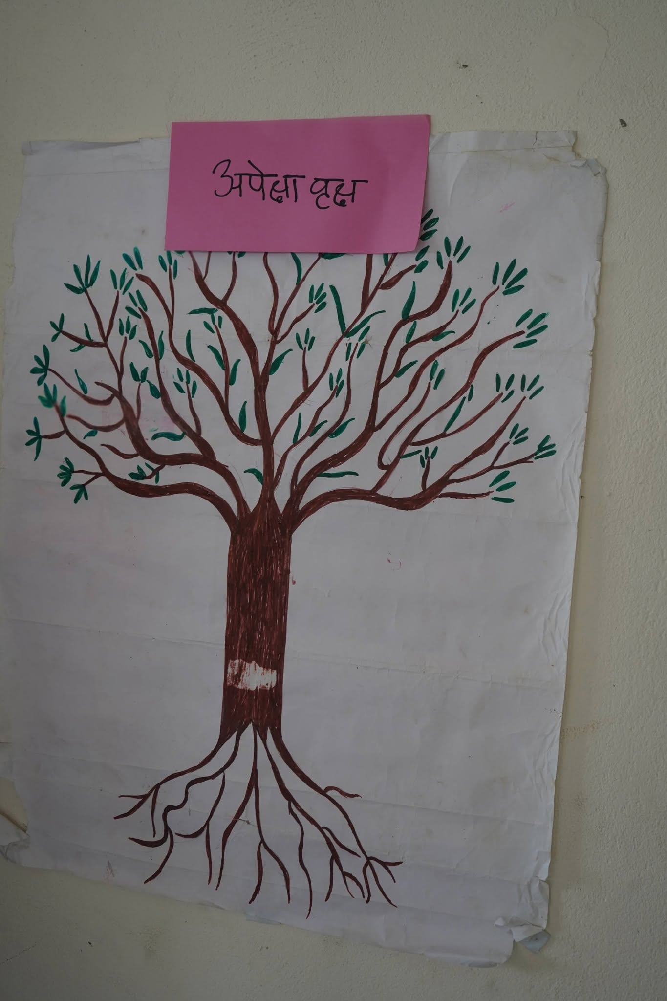 Gender Facilitators Training under the Behaviour Change for Gender Equality Project 11