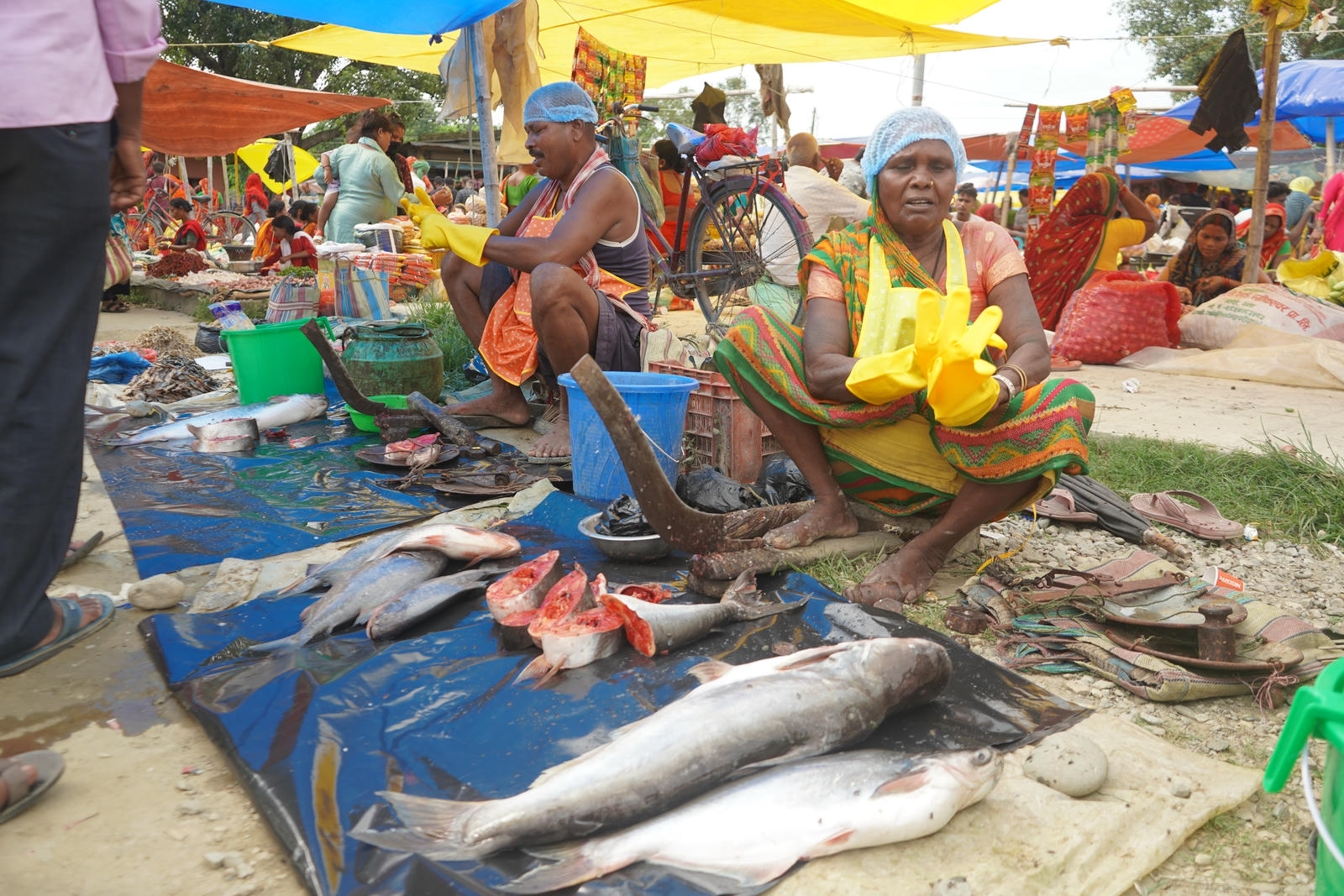 Fish Market Promotion, Aquaculture & Food Safety Showcase 49