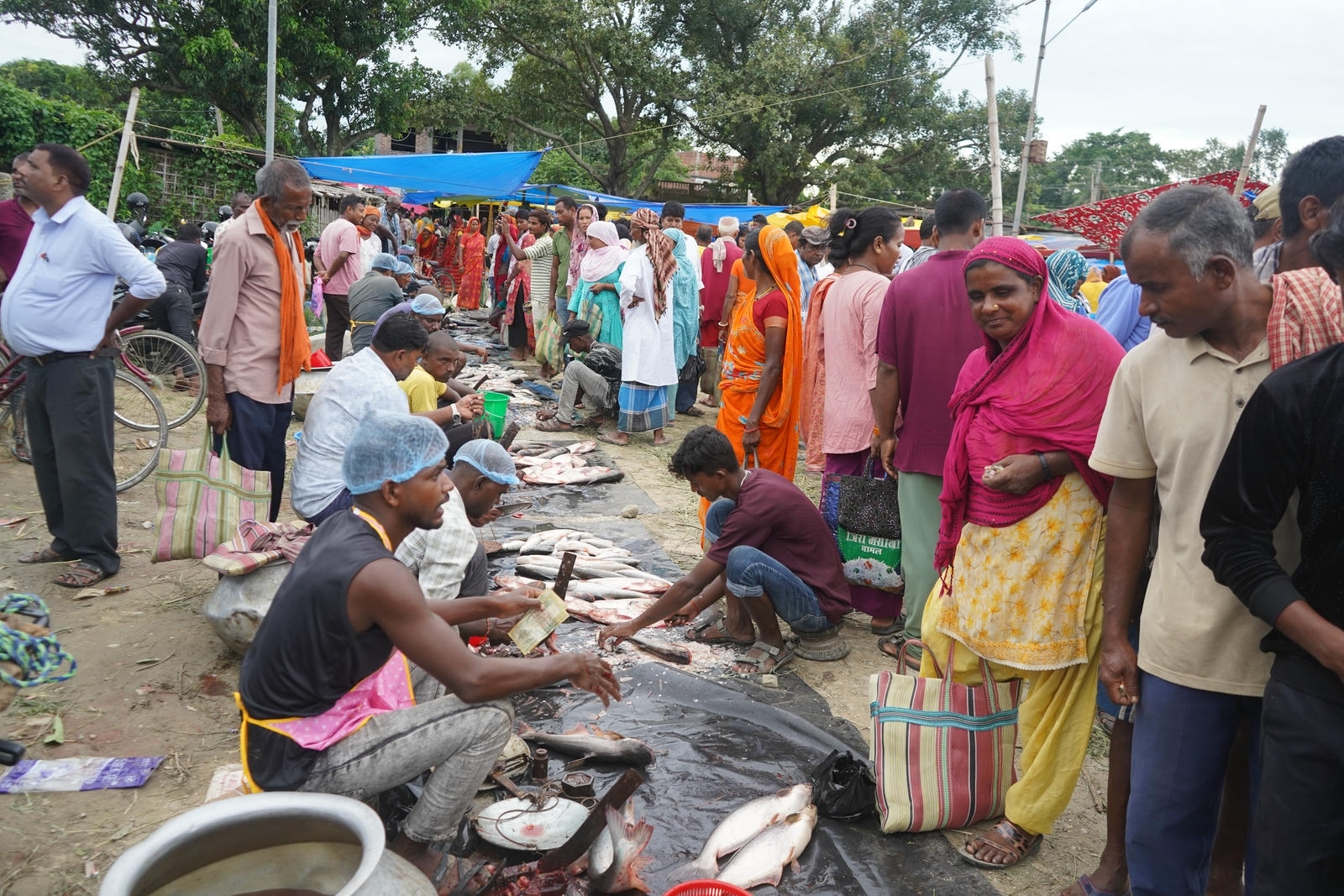 Fish Market Promotion, Aquaculture & Food Safety Showcase 105