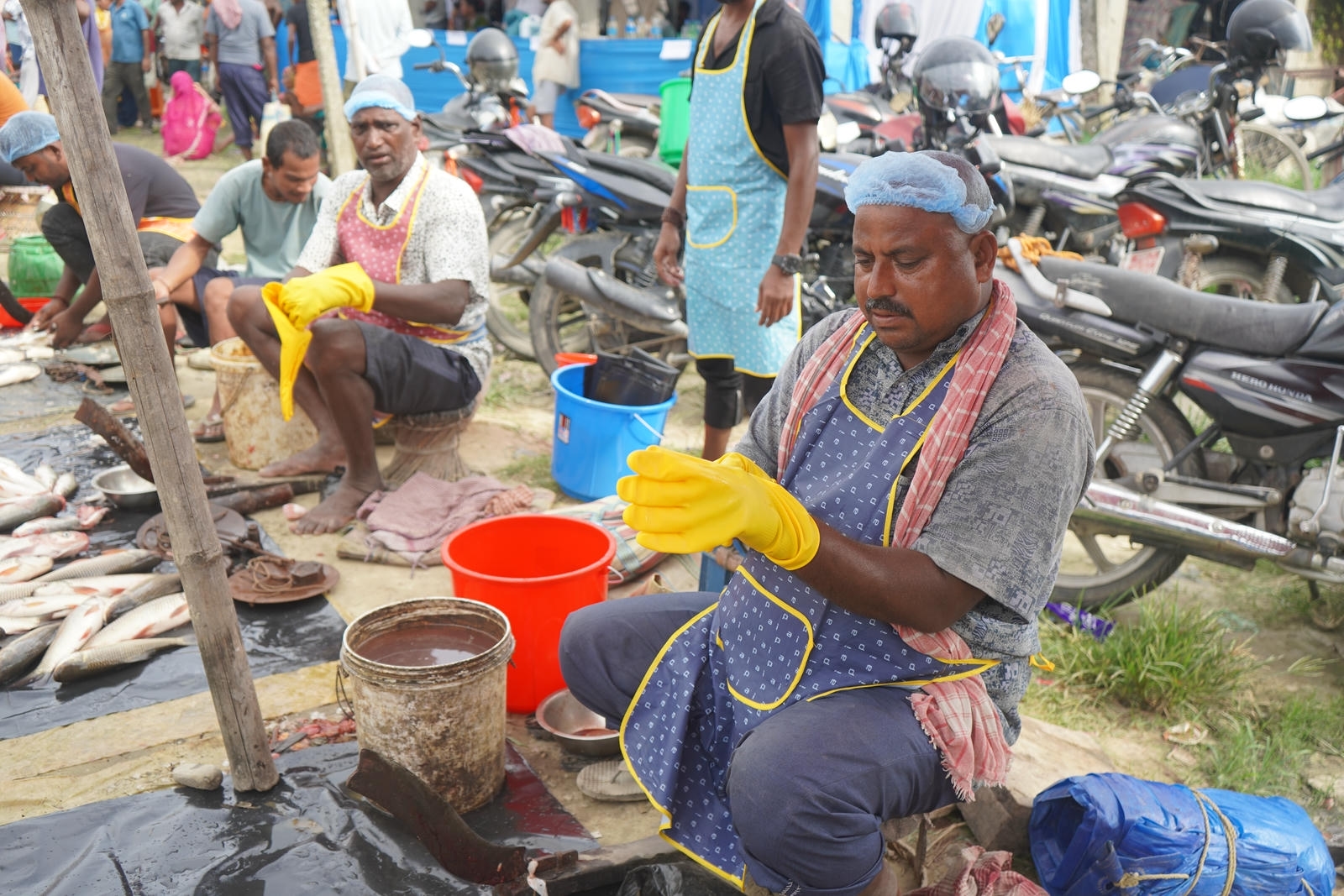 Fish Market Promotion, Aquaculture & Food Safety Showcase 42