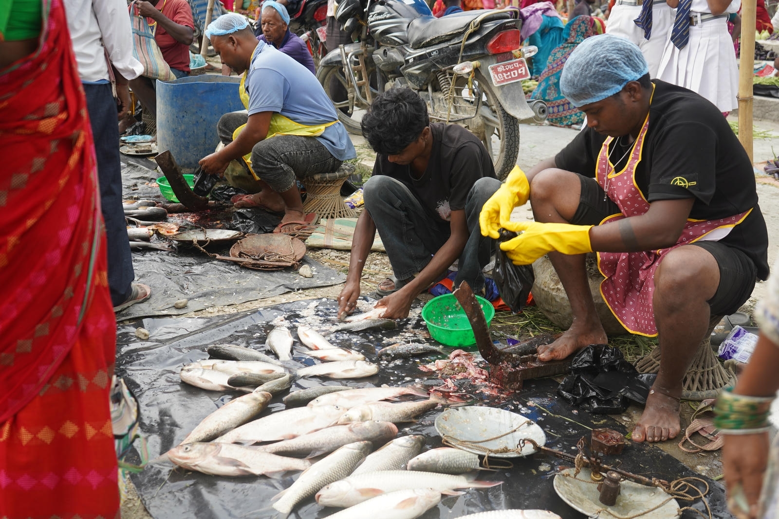 Fish Market Promotion, Aquaculture & Food Safety Showcase 65