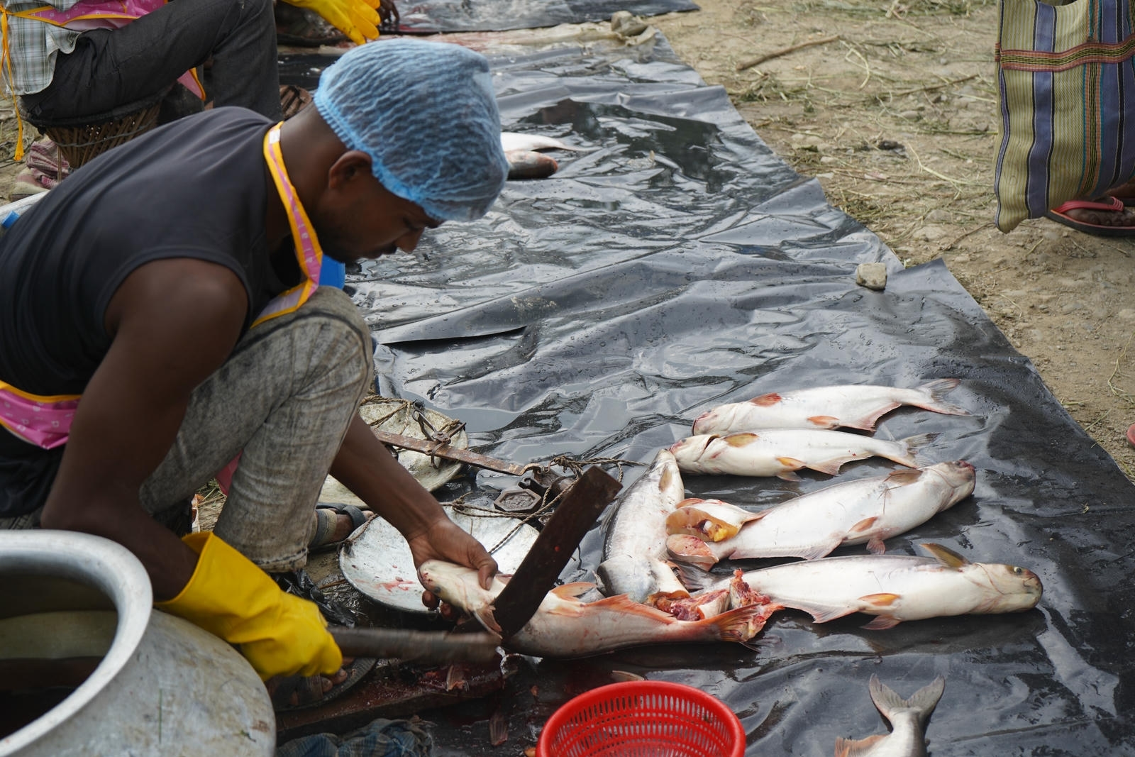 Fish Market Promotion, Aquaculture & Food Safety Showcase 68
