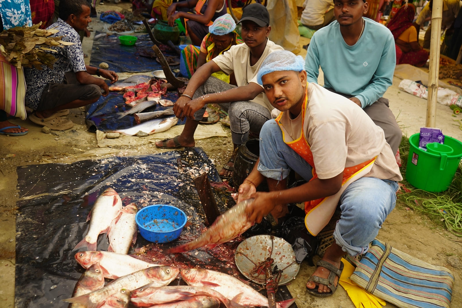 Fish Market Promotion, Aquaculture & Food Safety Showcase 114