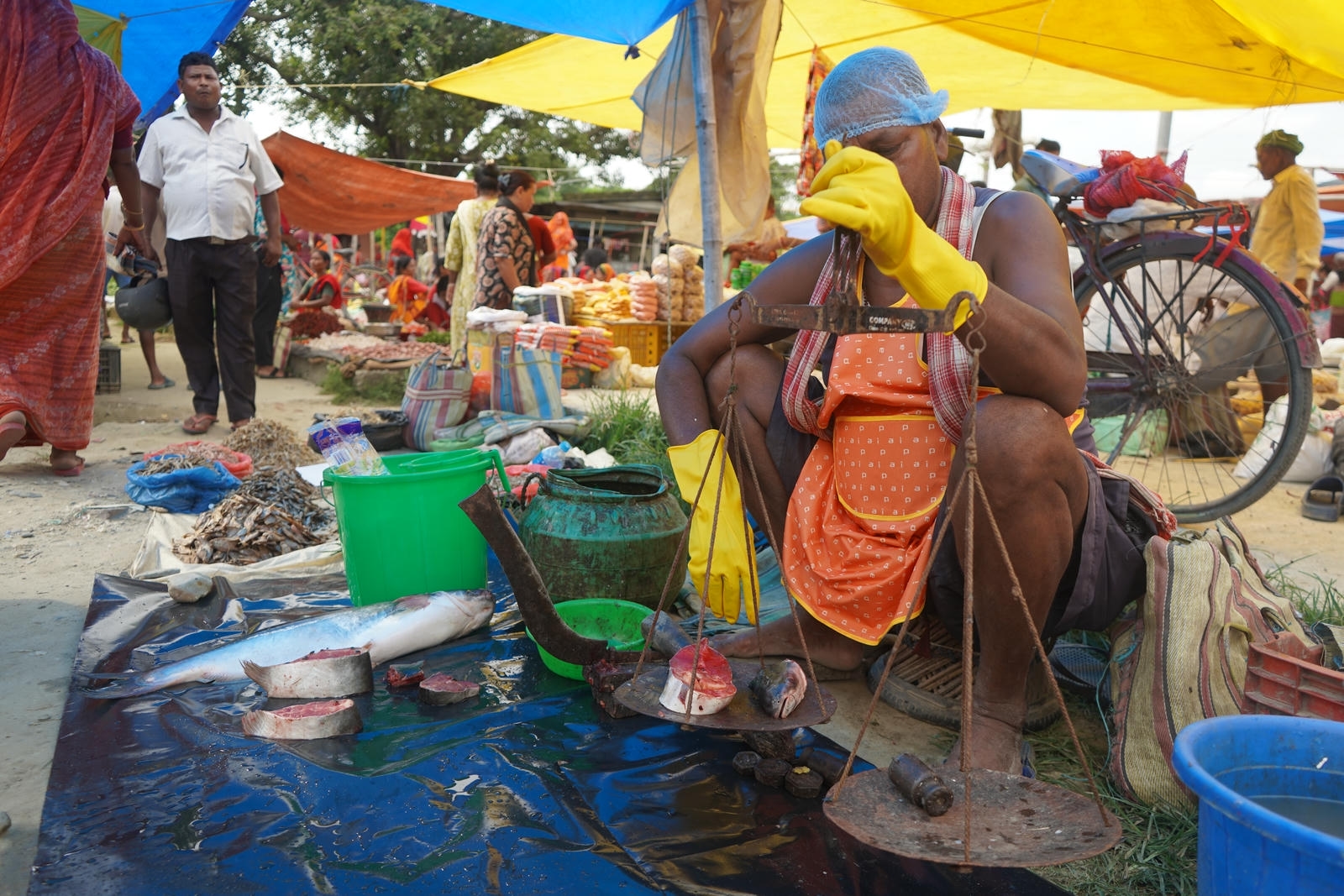 Fish Market Promotion, Aquaculture & Food Safety Showcase 48