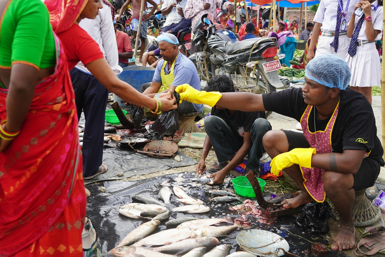 Fish Market Promotion, Aquaculture & Food Safety Showcase 67