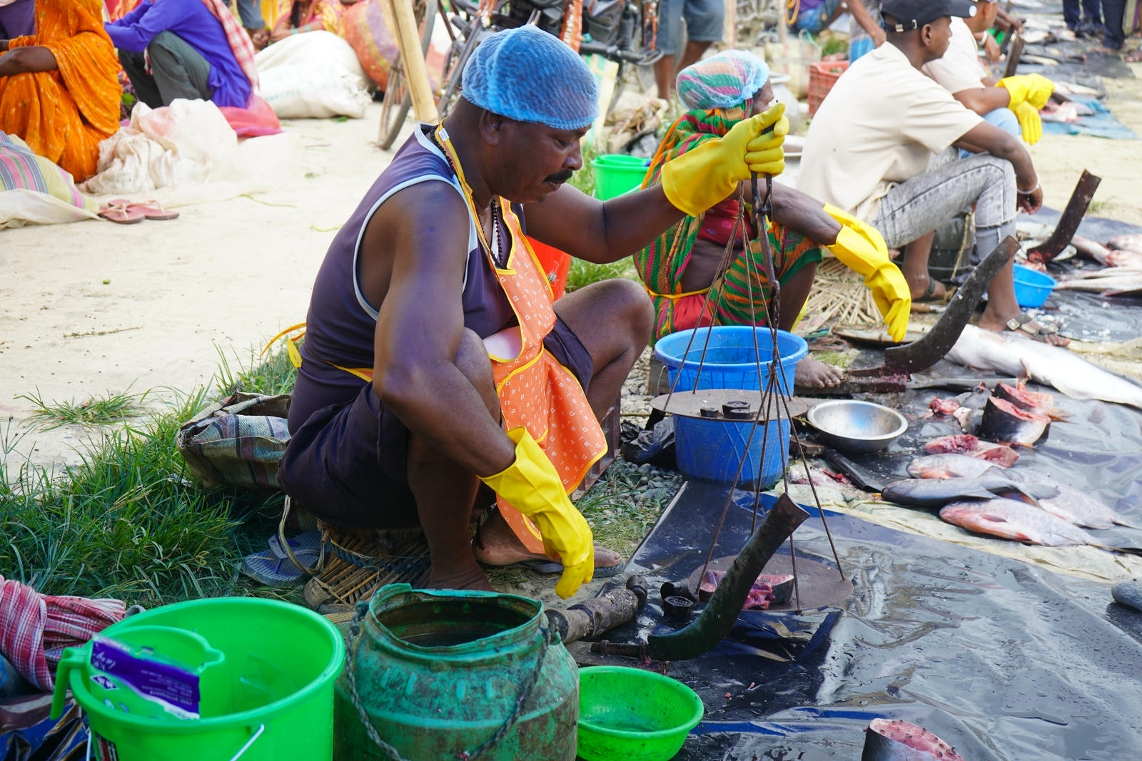Fish Market Promotion, Aquaculture & Food Safety Showcase 60