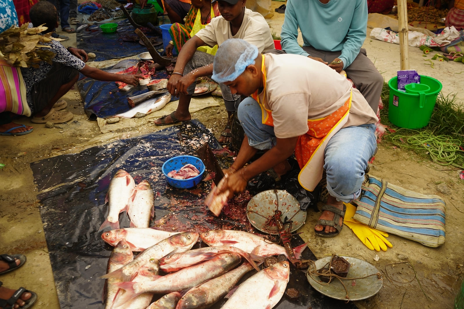 Fish Market Promotion, Aquaculture & Food Safety Showcase 115