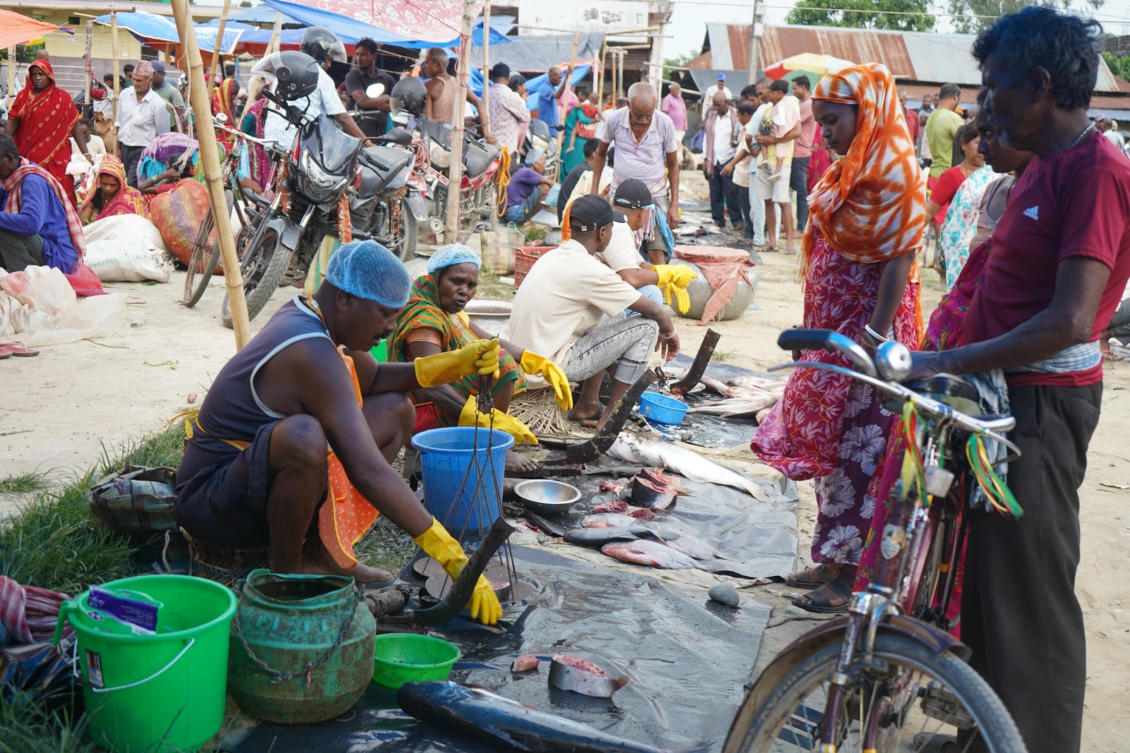 Fish Market Promotion, Aquaculture & Food Safety Showcase 59