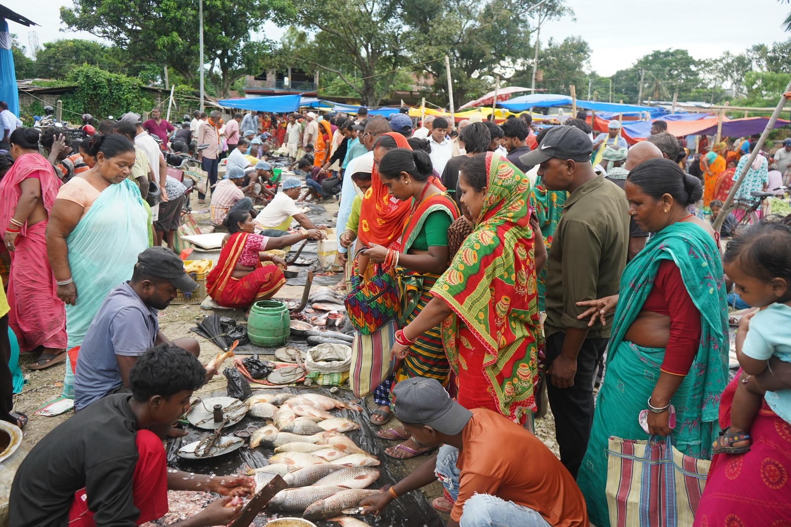 Fish Market Promotion, Aquaculture & Food Safety Showcase 106