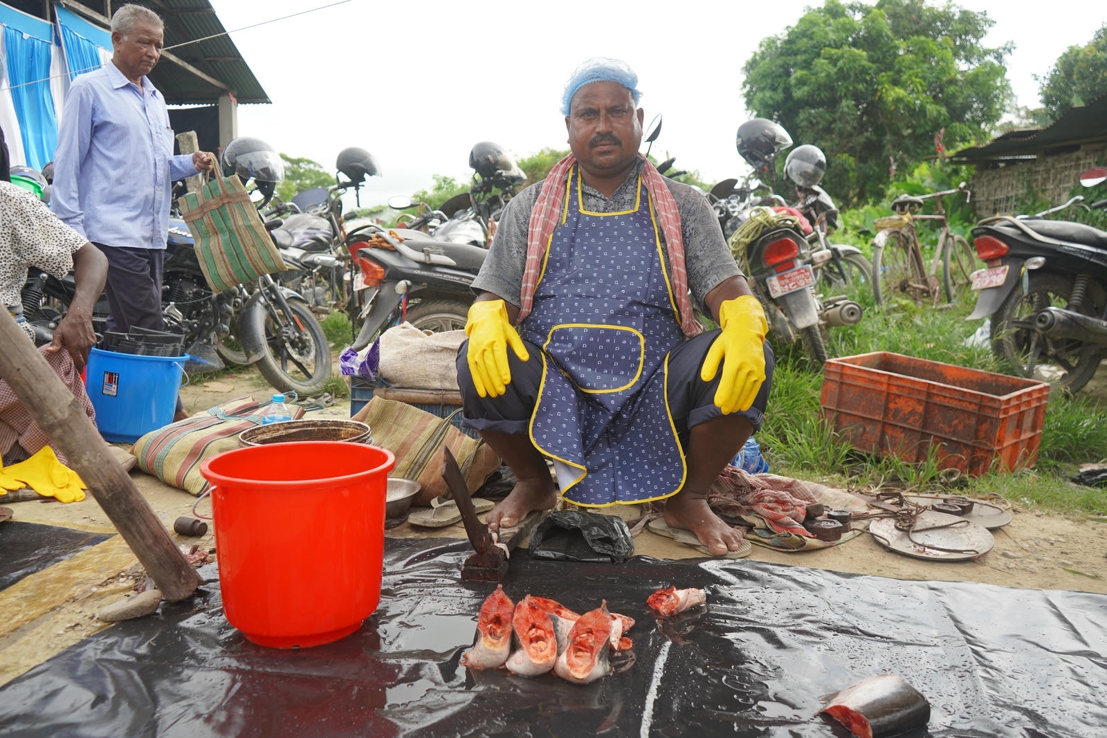 Fish Market Promotion, Aquaculture & Food Safety Showcase 47