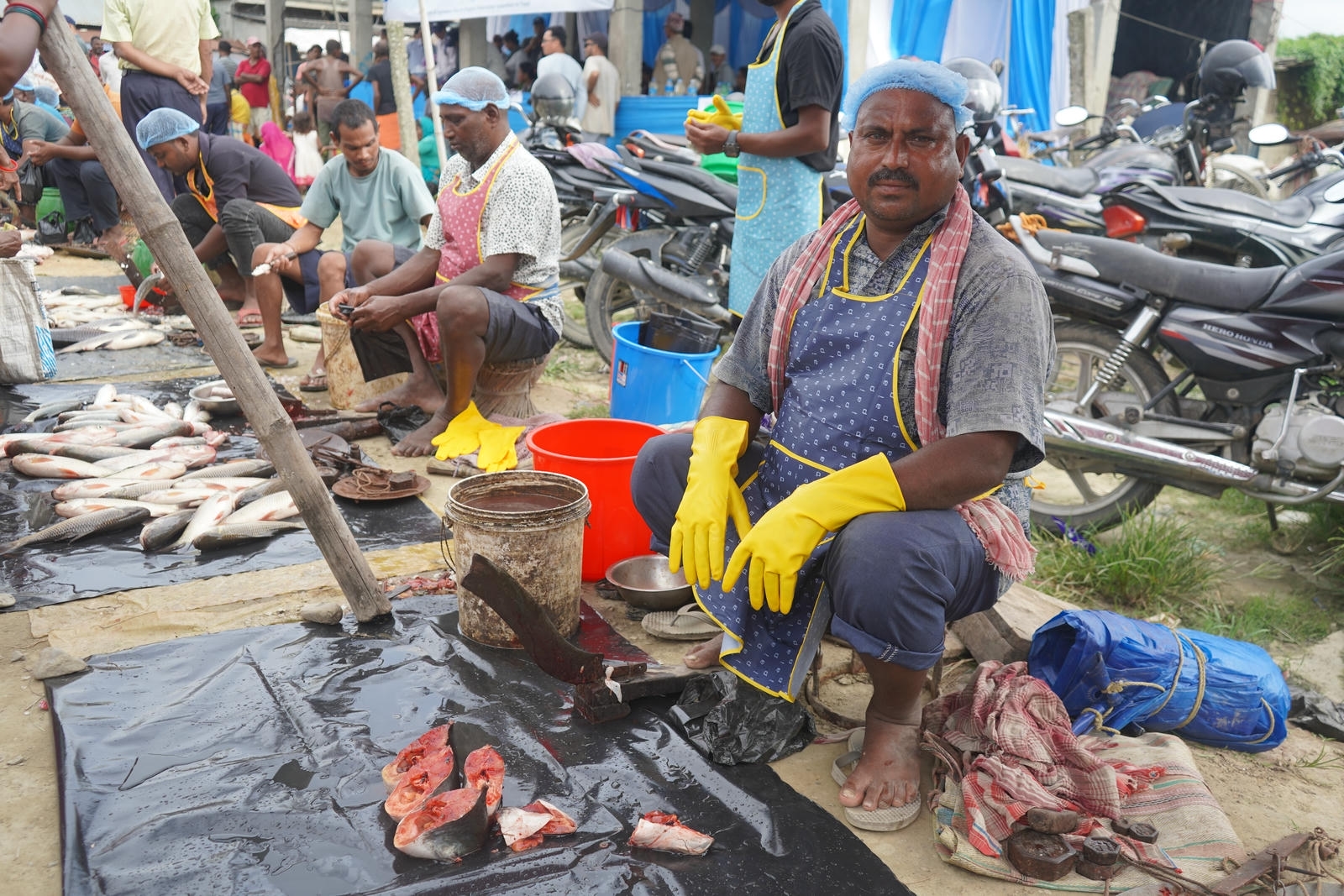 Fish Market Promotion, Aquaculture & Food Safety Showcase 45