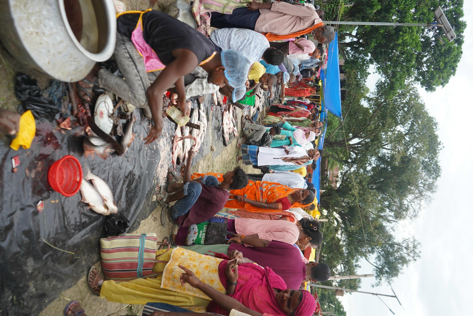 Fish Market Promotion, Aquaculture & Food Safety Showcase 104