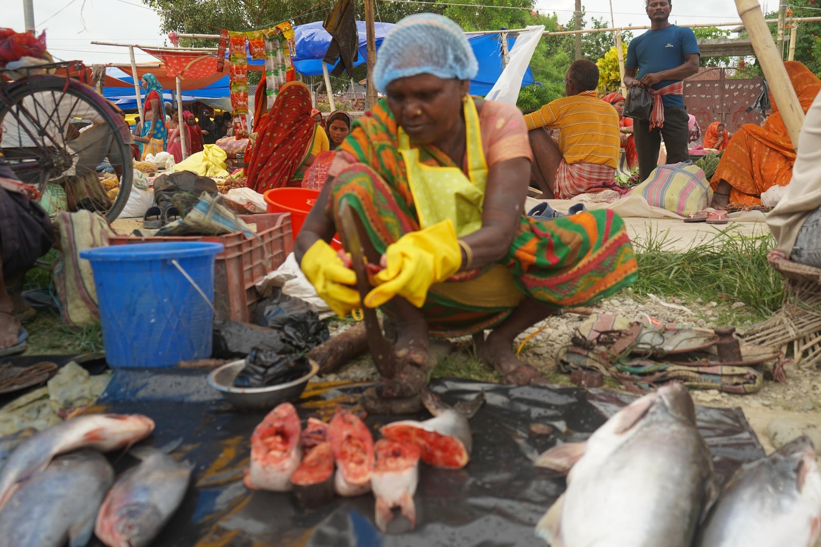 Fish Market Promotion, Aquaculture & Food Safety Showcase 50