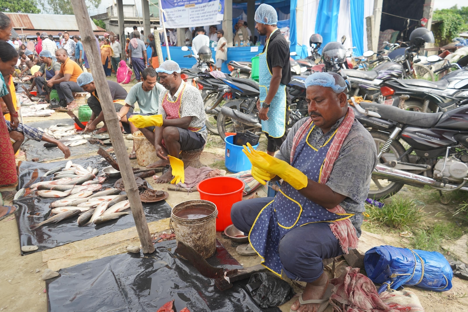Fish Market Promotion, Aquaculture & Food Safety Showcase 43