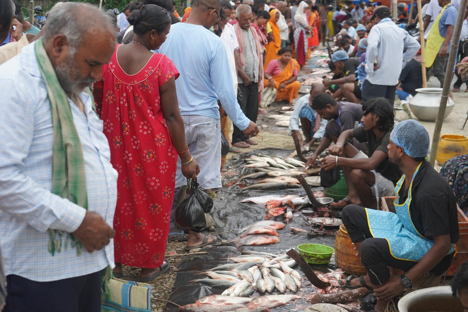 Fish Market Promotion, Aquaculture & Food Safety Showcase 109