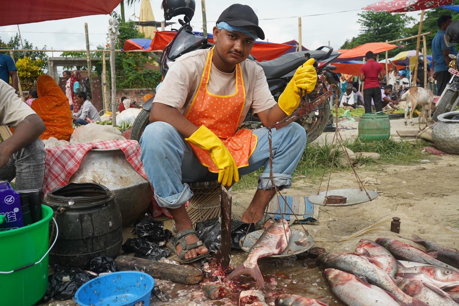 Fish Market Promotion, Aquaculture & Food Safety Showcase 52