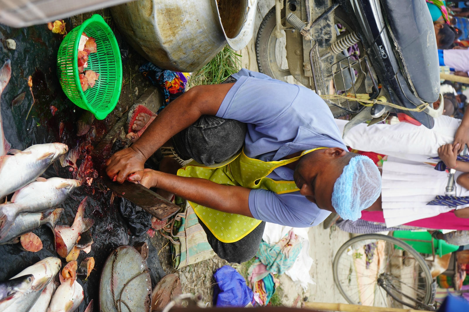 Fish Market Promotion, Aquaculture & Food Safety Showcase 63