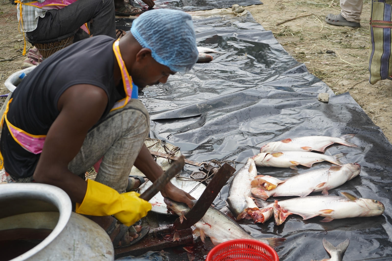 Fish Market Promotion, Aquaculture & Food Safety Showcase 69